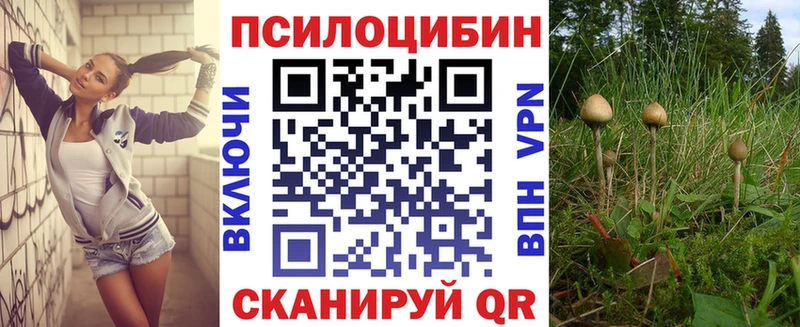 Галлюциногенные грибы Psilocybe  Волчанск 